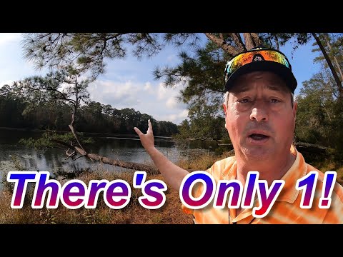 Double Lake Campground — field still 1