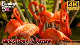 I go on a Quick Tour of Flamingo Gardens in Davie, Florida!  4K Botanical Gardens & Wildlife Rescue