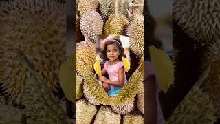 sweet durian! #durian #shorts #shortvideo #shortsviral