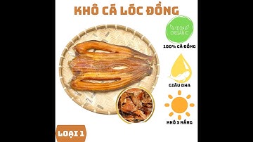 Khô Cá Lóc Đồng, Khô Cá Tự Nhiên Phơi Khô 3 Nắng Thịt Dày, Nêm Vừa Ăn, Đặc Sản Miền Tây An Giang