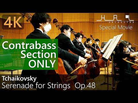 オーケストラ　楽器　洋書　音楽　ミュージック　クラッシック　Orchestra GYA01107315.jpg?v=1747883644
