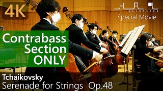 [4K] Tchaikovsky - Serenade for Strings チャイコフスキー「弦楽セレナーデ」/ Orchestra HAL Contrabass Section