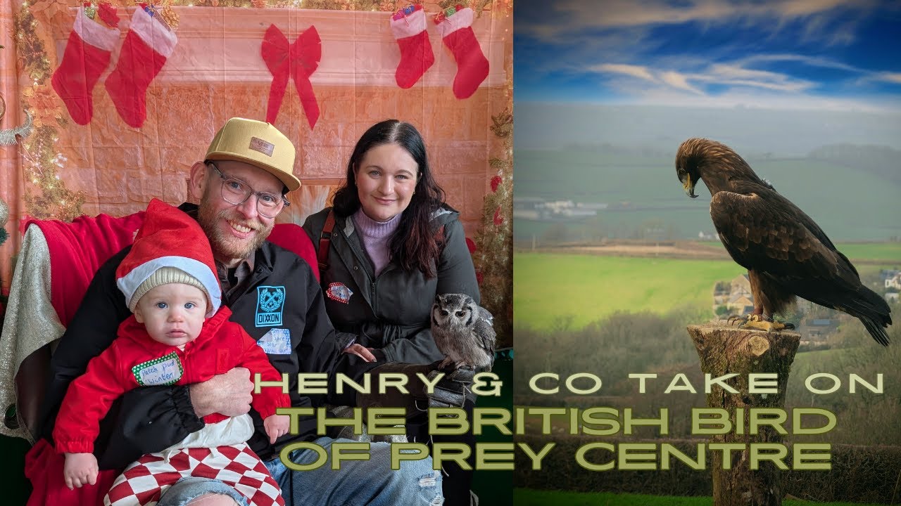 Henry & Co Take On The British Bird of Prey Centre!