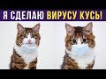 Приколы с котами. КОТ СДЕЛАЕТ ВИРУСУ КУСЬ! | Мемозг #226