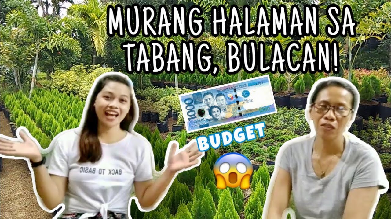 MURANG HALAMAN SA TABANG BULACAN! SILIPIN NATIN! | VLOG 5