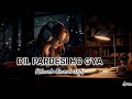 Dil Pardesi HoaSlowed+Reverb+Lofi/ Dil Pardesi song/lofi Mp3 Song
