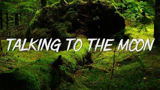 Talking to the Moon - Bruno Mars (Lyrics)