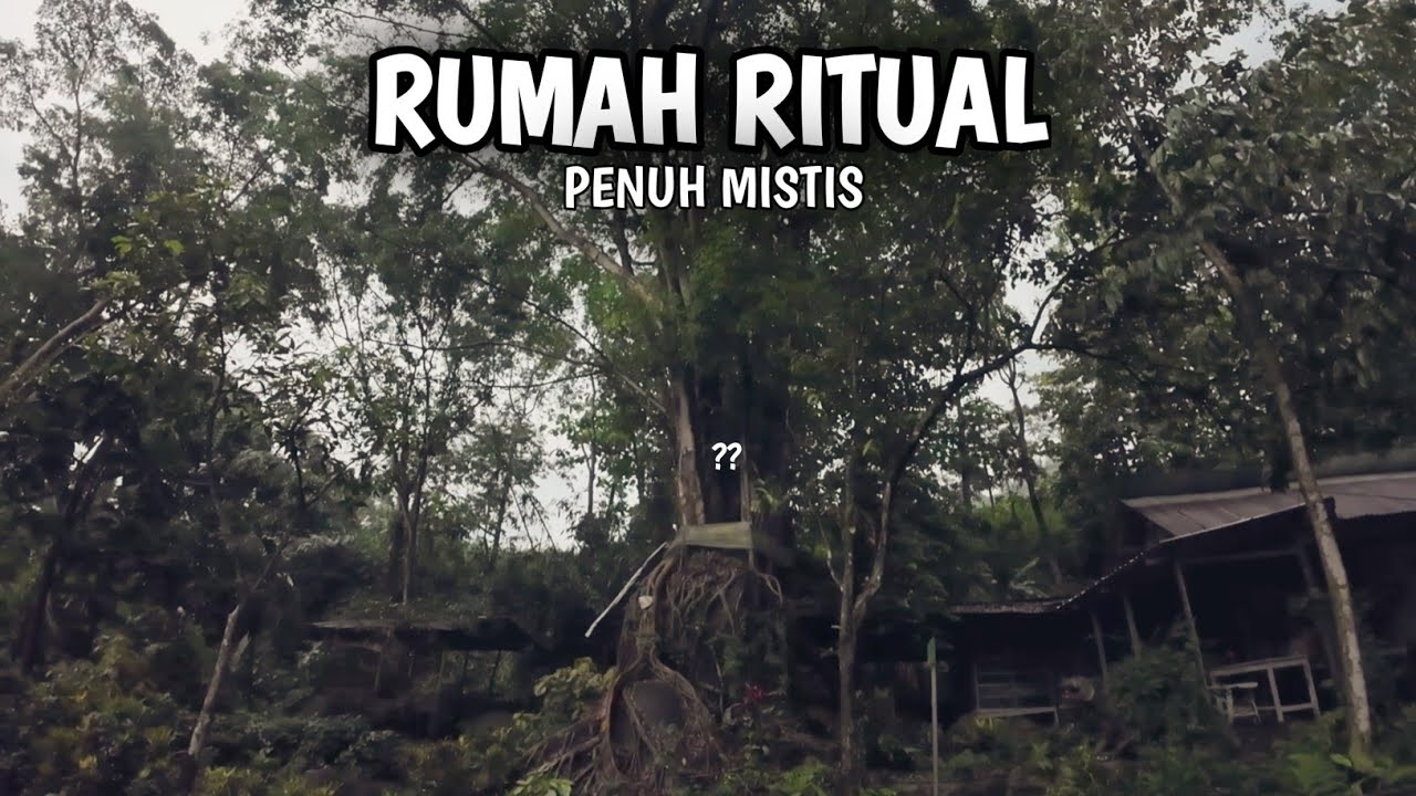 DIBUNGKUS KAIN KAFAN? BEKAS RUMAH RITUAL TENGAH HUTAN PALING ANGKER DI JAWA TIMUR