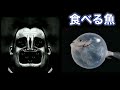 音割れMr.インクレディブルと見る 今夜食べる魚 #音割れ EARRAPE mr incredible becoming uncanny
