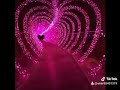 معاك هفضل امشي وأكمل تامر حسني معاك هفضل امشي وأكمل تامر حسني