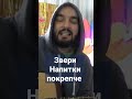 #звери #напиткиПокрепче