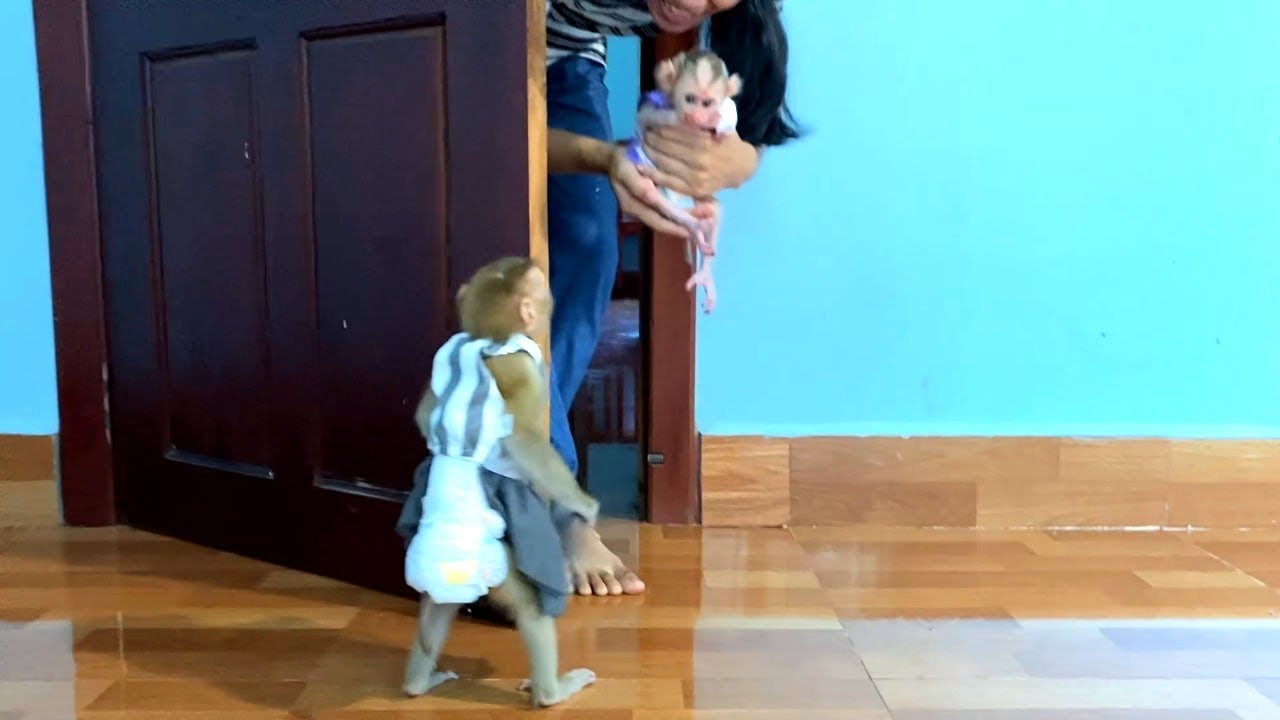 First Meetinq!! JUEUR Look Stunned At Door With New Welcome