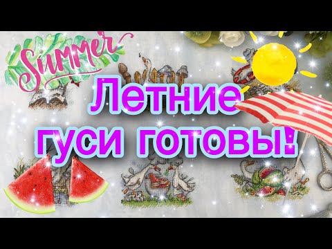 306. Летние гуси от А.Петуновой. От старта до финиша))