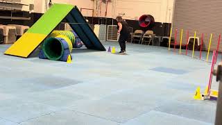 Chaos agility March 14, 2025