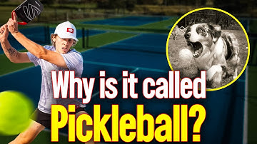 Everyone Thinks a Dog Named Pickles Started Pickleball… Here’s the Truth
