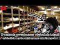 Untold Stories Uyazisola Owesimame Obebulala Iziguli Ngoba Eziphumuza Ezinhlungwini Untold Stories Uyazisola Owesimame Obebulala Iziguli Ngoba Eziphumuza Ezinhlungwini