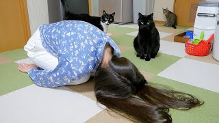 帰ってきた途端、ショックを受けた妻が猫の前で倒れてましたｗ