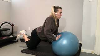 Stability Ball Knee Push up