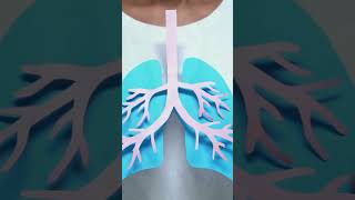 Elisha Hardy, ARNP on RSV Vaccine for Older Adults