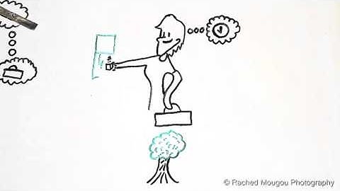 Promovideo EasyFill NEW