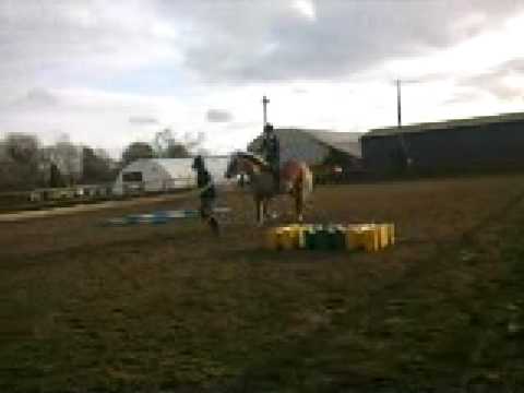 Fall From Bucking Pony