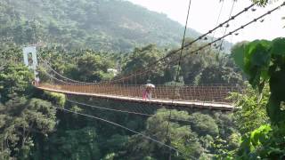 水里鵲橋-南投水里.樹齢53年龍眼樹.Shueili Drawbridge.Full ...