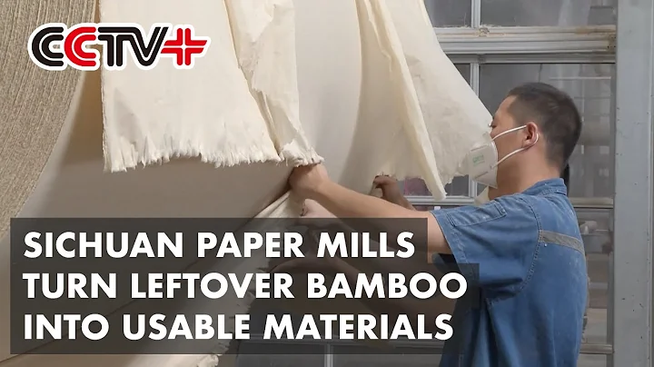 Sichuan Paper Mills Turn Leftover Bamboo into Usable Materials - DayDayNews