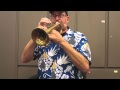 Trumpet tip,  an approach to range development