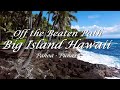 Discover the big island of hawaii  puna district  tour big island hawaii east side  pahoa  puna