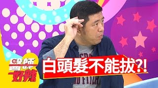 白頭髮能不能拔？！放屁好臭是大腸癌徵兆？！NONO 倪雅倫 20161122 part3 醫師好辣