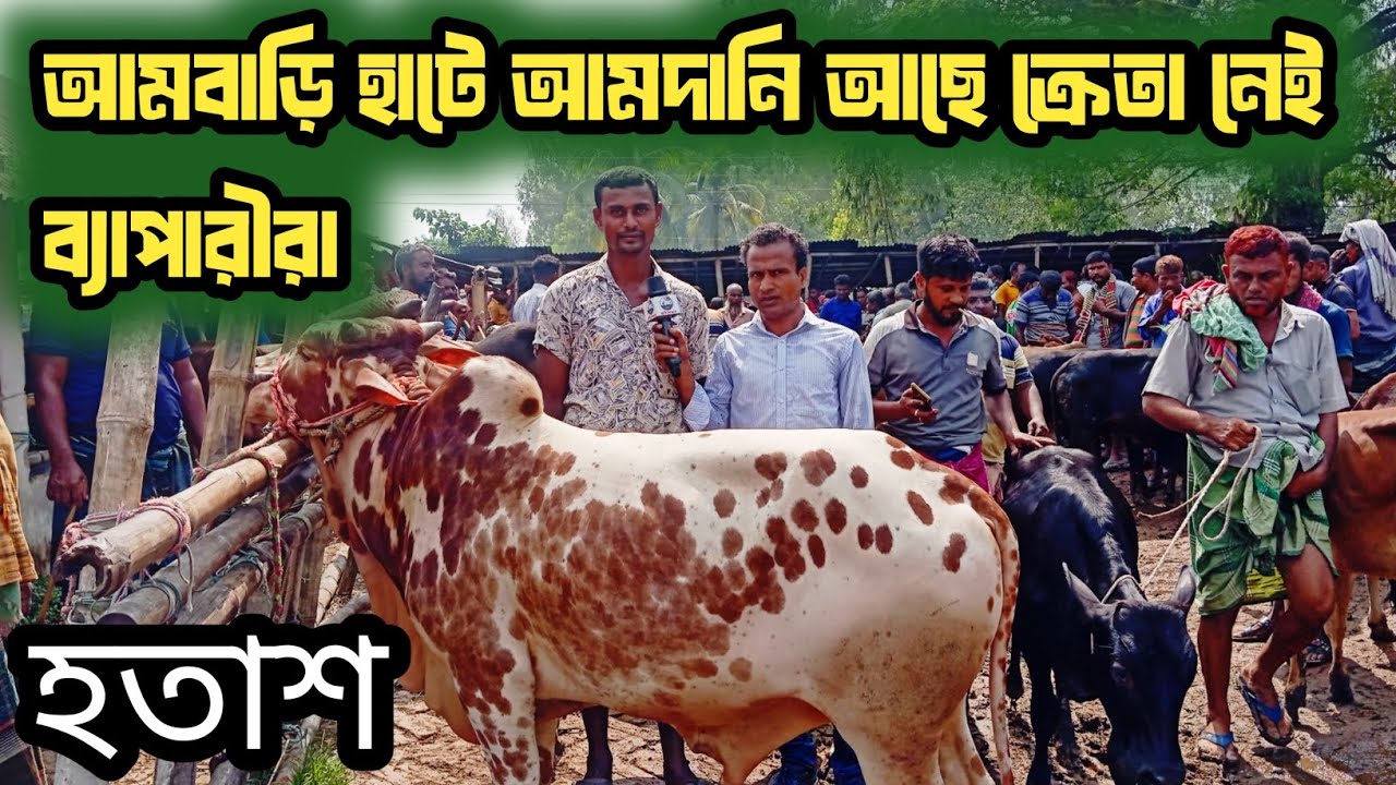 @১৩/১০/২৫