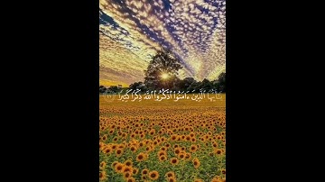 اسم القارئ محمد اللحيدان #قرآن #الهم_صلي_وسلم_على_نبينا_محمد #الهم_ارزقنا_بفرحه_تجعلنا_نسجد_لك_باكين