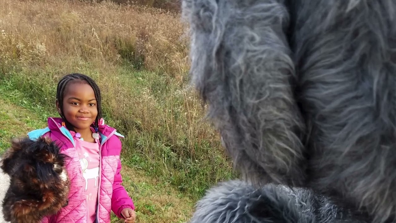 Your Portage Parks - you were there!