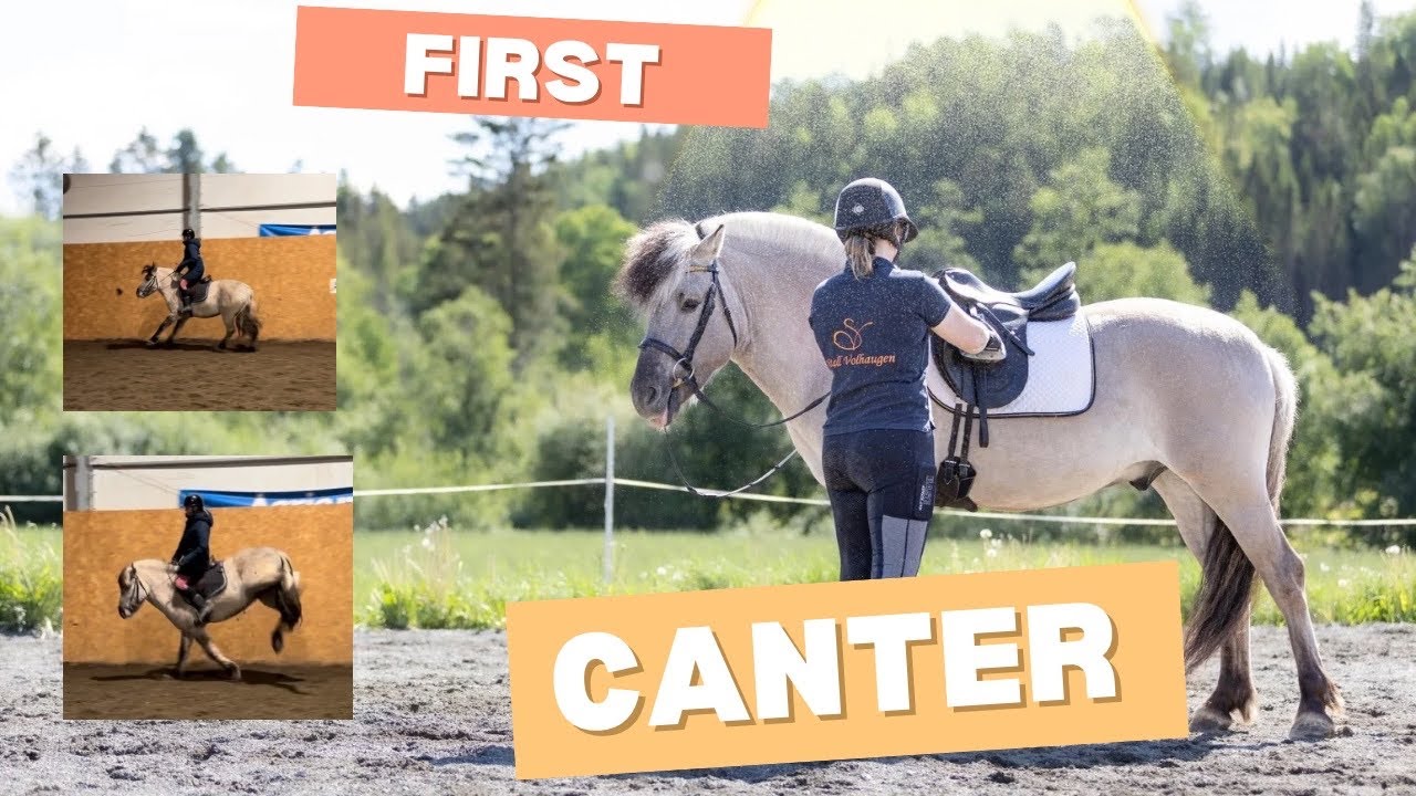 Horse Training Mistakes You Don't Want To Make 