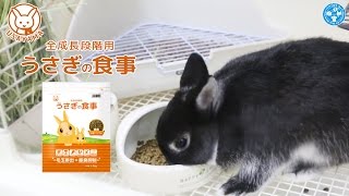 【チャーム】毎日食べても飽きないおいしさ！うさぎの健康にもこだわったフード 「うさぎの食事」