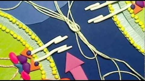 Metalloproteinases and Cancer Metastasis