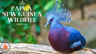 Papua New Guinea: Exploring a Biodiverse Paradise