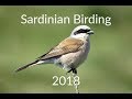 Sardinian Birding June 2018