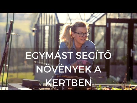 Videó: Segítők A Konyhában - Segítők és A Kertben