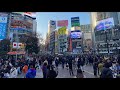 Should you Still Come to Japan? (Travel Update)