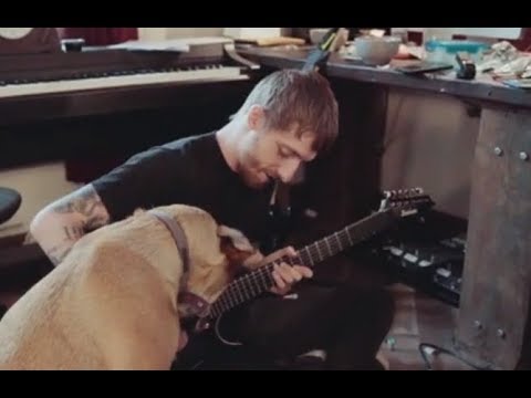 While She Sleeps, So What? documentary - Venom Inc. + Exmortus/Homewrecker tour..!