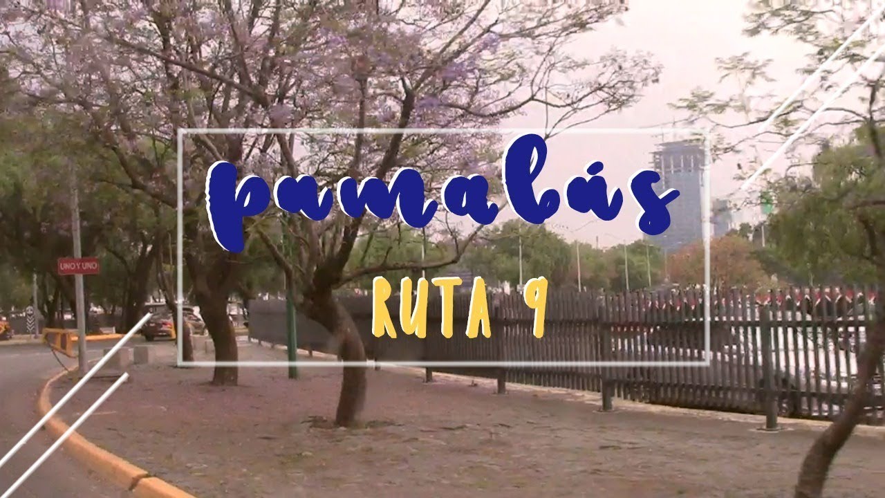 ruta 9 pumabus