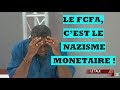 Fcfa ou nazisme montaire  origine africaine de la monnaie i de nk omotunde