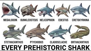 Every Prehistoric Shark Explained in 16 Minutes