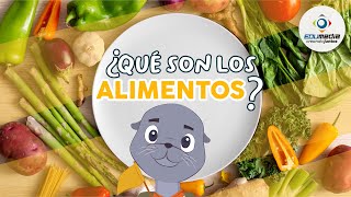 ¿Qué son los alimentos? grupos y tipos de alimentos - Explicación para niños🍍🥗🍊🥑🍅😃