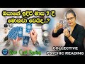 ඔයාගේ ඉදිරි මාස 7 දී මොනවා වෙයිද?|What will happen in your next 7 months?|collective psychic reading