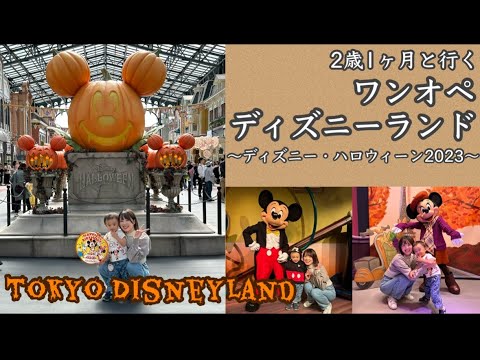 【Vlog】2歳1ヶ月と行くワンオペ・ディズニーランド