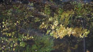 DSCF9143