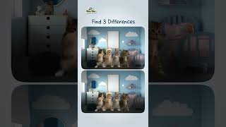 Find 3 Differences | Puzzle | Blue Bee