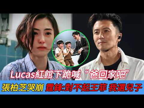 Lucas紅館下跪喊“爸回家吧”,張柏芝當場淚崩,謝霆鋒:對不起王菲,我選我兒子!#娱乐圈野记 #謝霆鋒 #張柏芝 #王菲